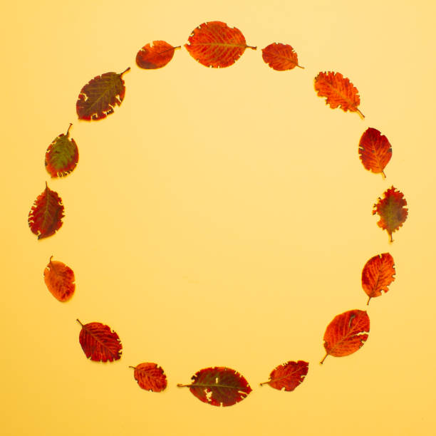 istock A perfect circle made of autumn leaves. Minimal concept. 1348380962