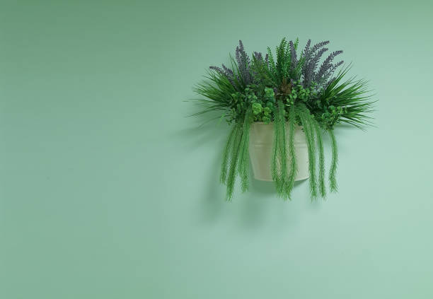 flower in flowerpot hanging on the wall