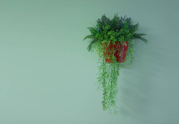 flower in flowerpot hanging on the wall