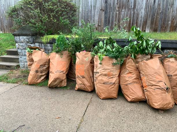 Lawn and Garden Clippings in Home Depot Bags stock photo