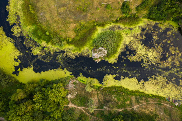istock Aerial view of the Tyasminsky canyon 1348385059
