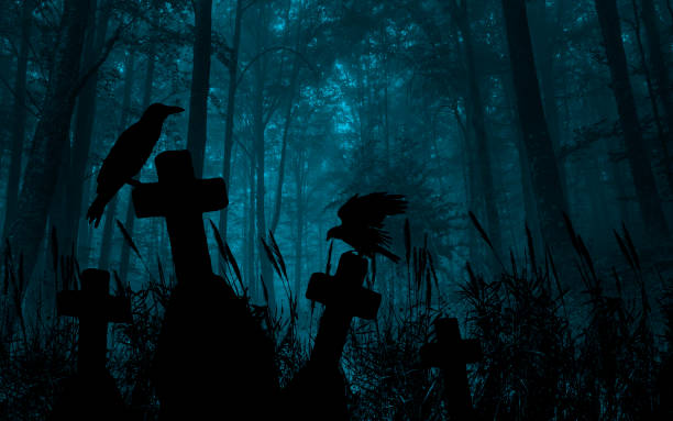 Panoramic cemetery with a raven on a cross Panoramic cemetery with a raven on a cross crow bird photos stock pictures, royalty-free photos & images