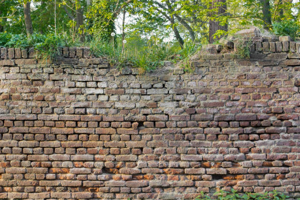 istock old brick walls in the forest overgrown with plants 1348387523