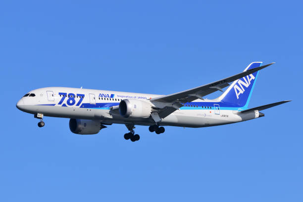 50+ All Nippon Airways (Ana) Boeing 787 8 Stock Photos, Pictures