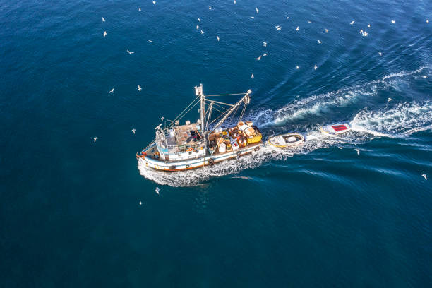 istock Fishermen boat is returning to the pier 1348389429
