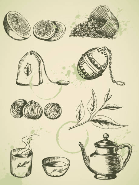 vintage herbaty - green tea tea teabag green stock illustrations