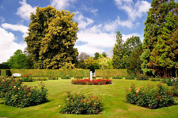 istock Gorgeous garden green grass 134840650