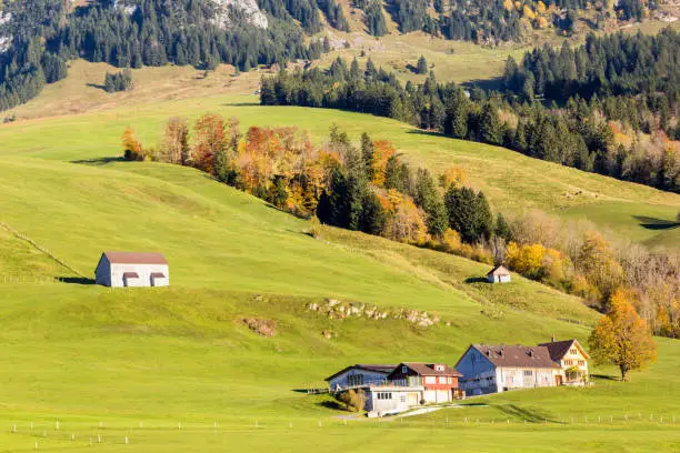 Village in Swiss Appenzellerland in autumn season atmosphere of morning softlight