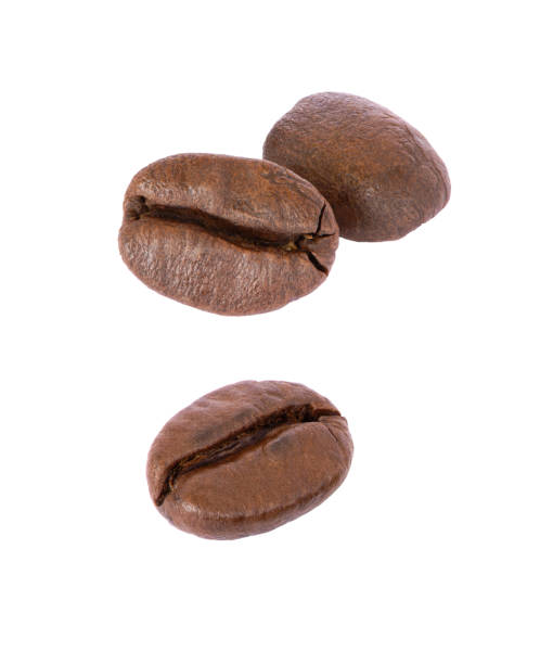 istock Roasted coffee beans flying in the air on white 1348421388