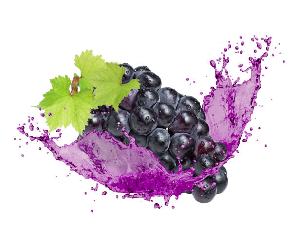 winogrona z rozpryskiem soku izolowanym na białym - agriculture purple vine grape leaf zdjęcia i obrazy z banku zdjęć