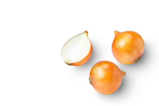 onion on white background. stock photo
