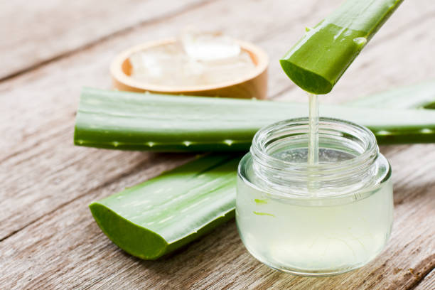 Aloe vera plant and aloe vera gel stock photo