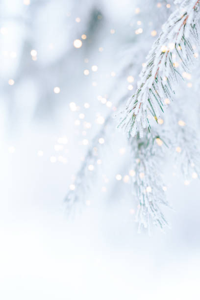 istock Background from snowy branches of Christmas tree with glowing lights from garland 1348444817