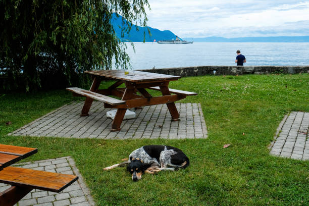 Summer in Montreux