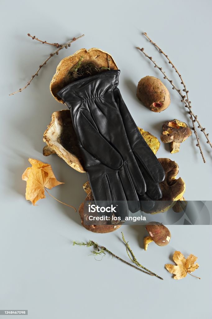 Mycelium leather gloves. Alternative to leather made from fungal spores and plant fibers. Innovative materials for mushroom textiles. asse Mycelium leather gloves. Alternative to leather made from fungal spores and plant fibers. Innovative materials for mushroom textiles. Selective focus Leather Stock Photo