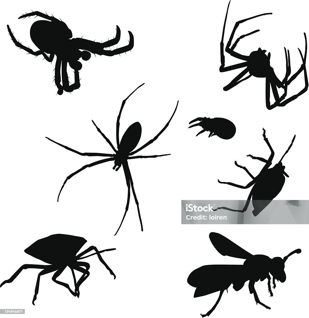 Bugs - clipart vectoriel de Arachnide libre de droits