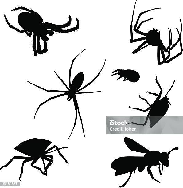 Bugs Vecteurs libres de droits et plus d'images vectorielles de Arachnide - Arachnide, Araignée, Couleur noire