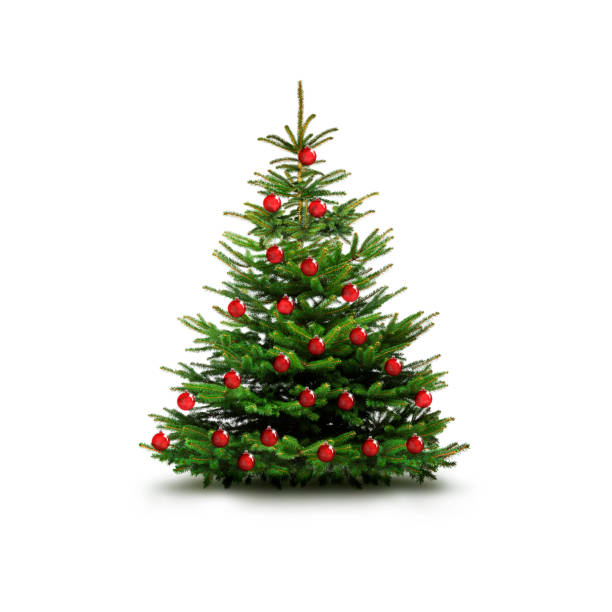 istock Christmas tree with red balls insulated on a white backing 1348471765