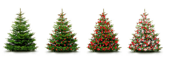 istock Christmas trees with red balls insulated on a white background 1348472276