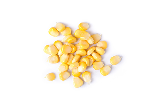 Fresh sweet corn seeds isolated on white background. Top view. Flat lay.