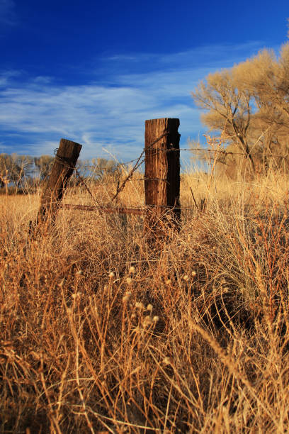 istock San Pedro Riparian Conservation Area 1348481182