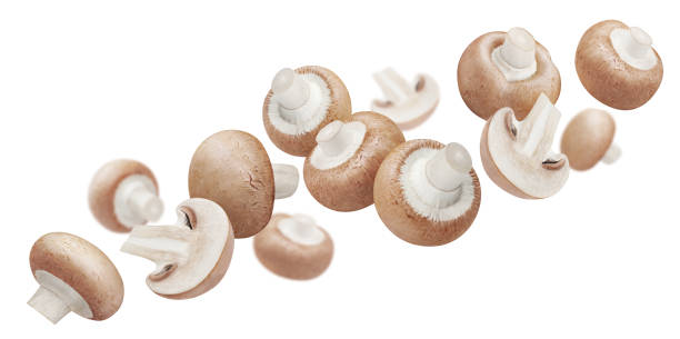 istock Flying champignon mushrooms on white 1348499640