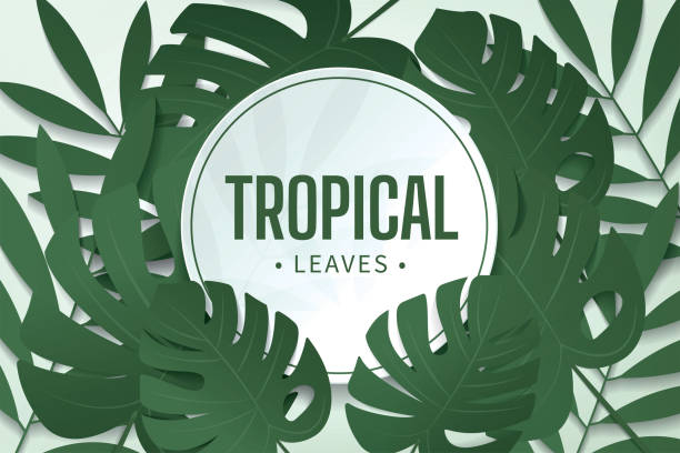istock tropical leaves banner. monstera leaves on green wall background. mockup and templates to create greeting, cards, magazines, cover, poster and banners etc. vector illustration 1348500708