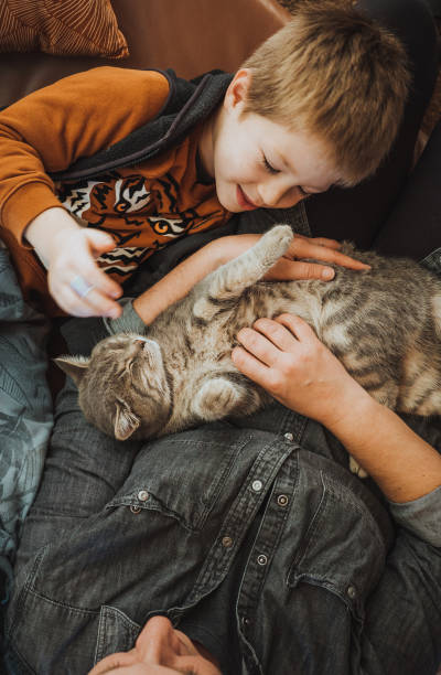 istock Mother and son playing with a cat at home 1348512775