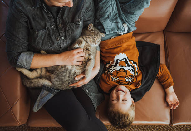 istock Mother and son playing with a cat at home 1348512776