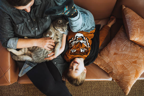 istock Mother and son playing with a cat at home 1348512777