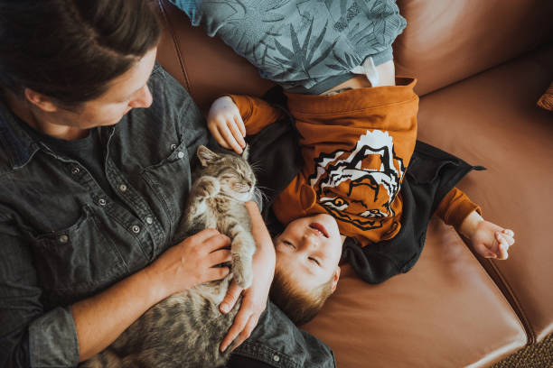 istock Mother and son playing with a cat at home 1348512790