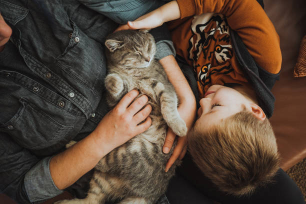 mother and son playing with a cat at home - kat stockfoto's en -beelden