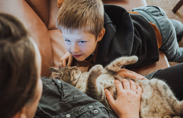 istock Mother and son playing with a cat at home 1348512860