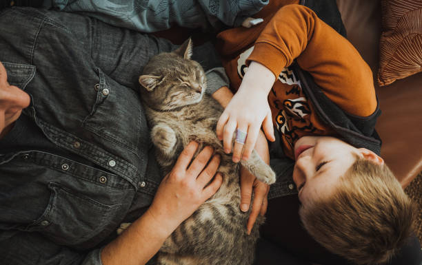 istock Mother and son playing with a cat at home 1348512861