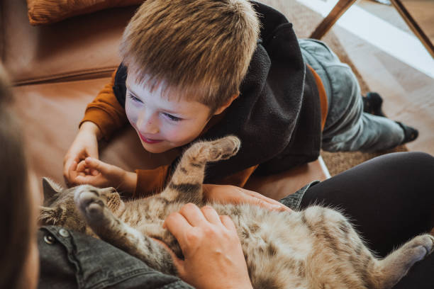 istock Mother and son playing with a cat at home 1348512867