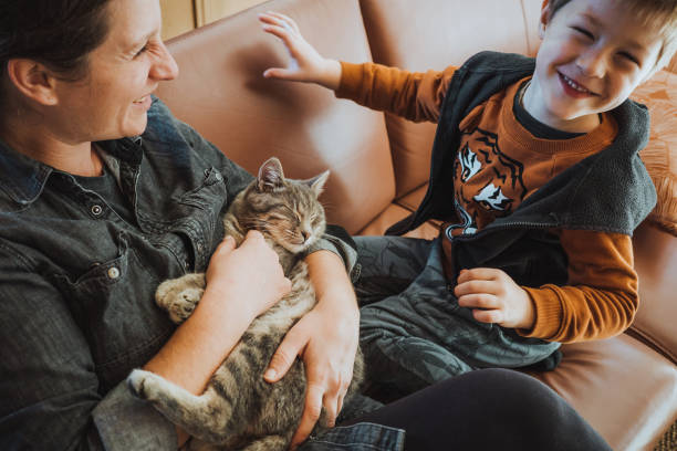istock Mother and son playing with a cat at home 1348513385