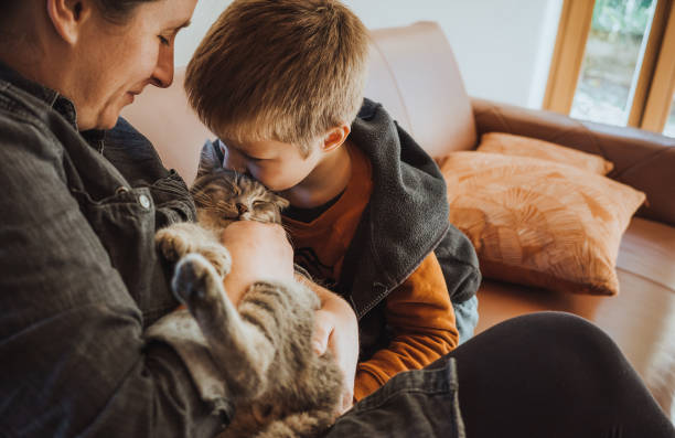 istock Mother and son playing with a cat at home 1348513391