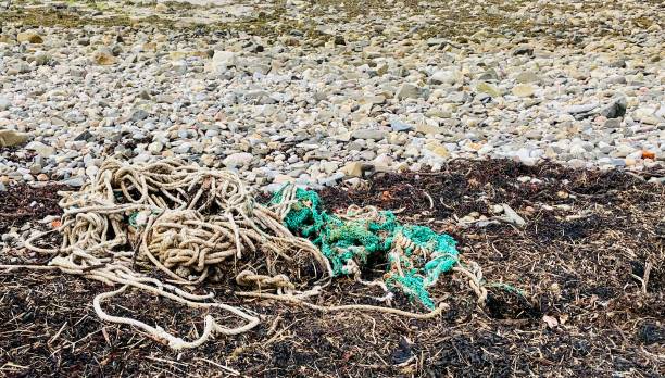 istock Fishing rope on rocky beach 1348519699