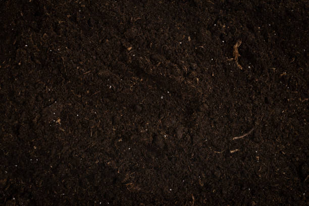 istock Black land for plant background. 1348522791