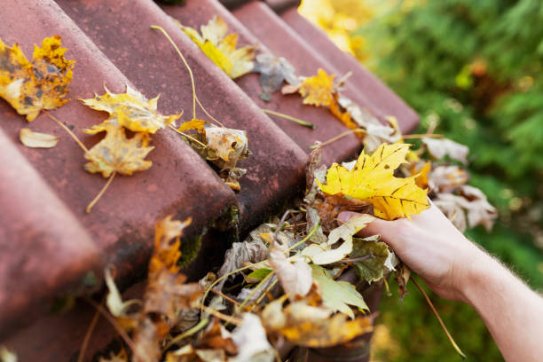 Cleaning gutter clogged with leaves stock photo
