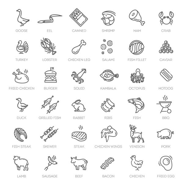 ilustrações de stock, clip art, desenhos animados e ícones de meat, poultry, fish and eggs - minimal thin line web icon set - chicken meat food chicken wing