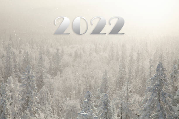 istock The pine forest is covered with fluffy snow. Meet 2022 1348552522