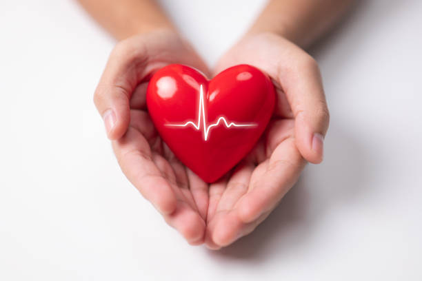 l’homme tient un cœur rouge. concepts de charité, d’assurance maladie, d’amour et de journée internationale de cardiologie. - opération du coeur photos et images de collection