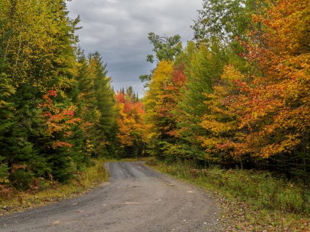 istock Country road winding through colorful autumn trees 1348562199