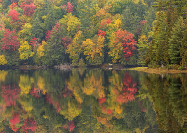 istock Colorful autumn trees reflecting in lake 1348563784