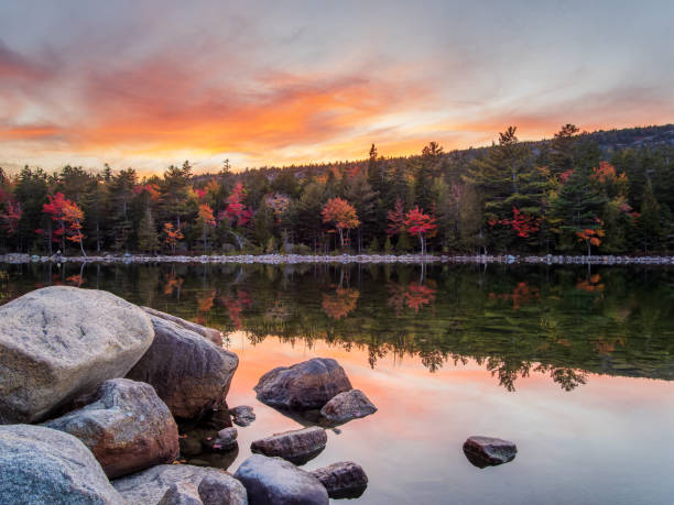 istock Vibrant autumn trees reflecting in pond 1348565818