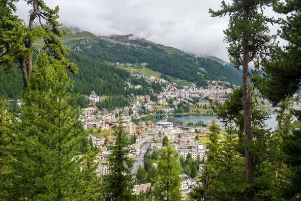 St-Moritz through the trees from a mountain with the mountains and the lake in the picture.