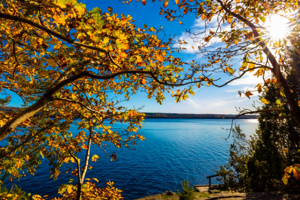 Autumn lake from a viewpoint
