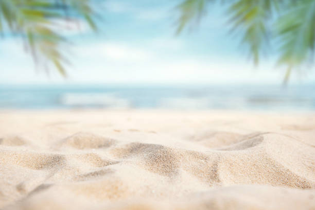 istock Tropical summer sand beach and palm on sea sky background. 1348569047