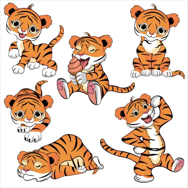 Vector illustration of The little tiger stands, crawls, sleeps, eats, walks and sits. Collection of drawings of a small tiger. Vector illustration